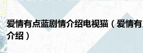 爱情有点蓝剧情介绍电视猫（爱情有点蓝剧情介绍）