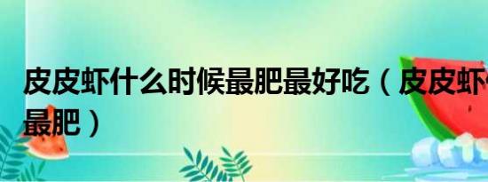 皮皮虾什么时候最肥最好吃（皮皮虾什么时候最肥）