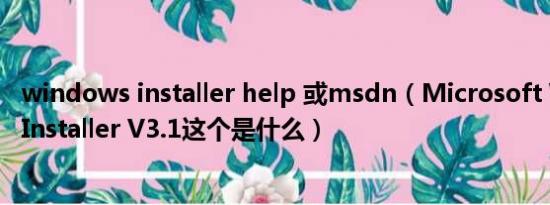 windows installer help 或msdn（Microsoft Windows Installer V3.1这个是什么）