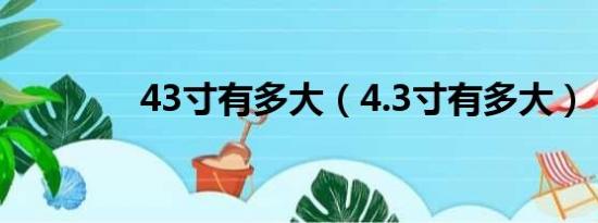 43寸有多大（4.3寸有多大）