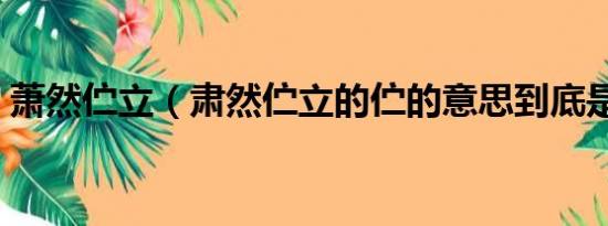 萧然伫立（肃然伫立的伫的意思到底是什么）