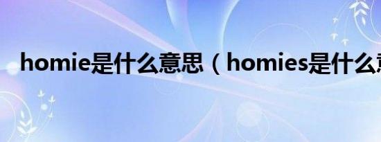 homie是什么意思（homies是什么意思）