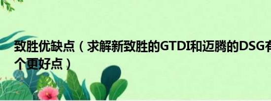 致胜优缺点（求解新致胜的GTDI和迈腾的DSG有啥区别哪个更好点）