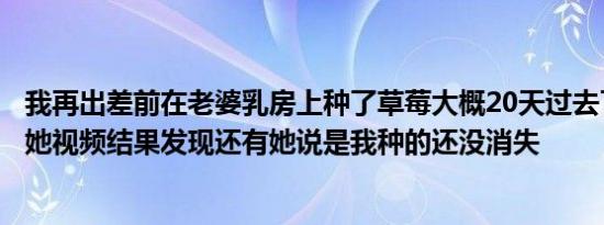 我再出差前在老婆乳房上种了草莓大概20天过去了我昨天和她视频结果发现还有她说是我种的还没消失