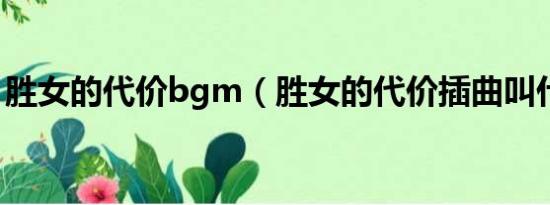 胜女的代价bgm（胜女的代价插曲叫什麽名）