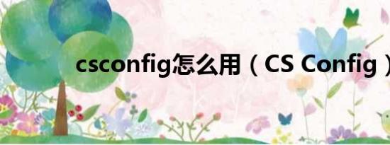 csconfig怎么用（CS Config）