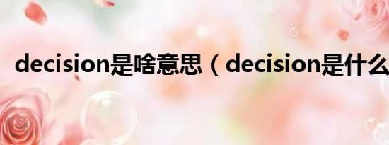 decision是啥意思（decision是什么意思）