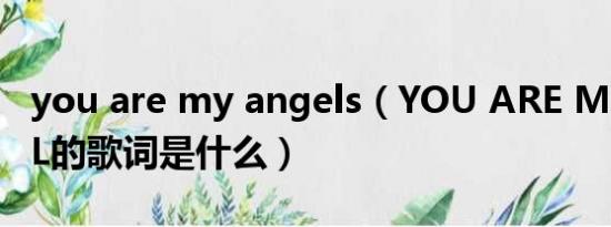 you are my angels（YOU ARE MY ANGEL的歌词是什么）