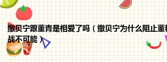 撒贝宁跟董青是相爱了吗（撒贝宁为什么阻止董艳珍继续挑战不可能）