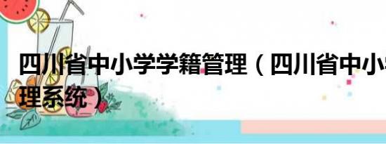 四川省中小学学籍管理（四川省中小学学籍管理系统）