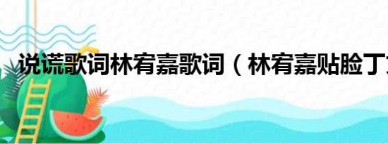 说谎歌词林宥嘉歌词（林宥嘉贴脸丁文琪）