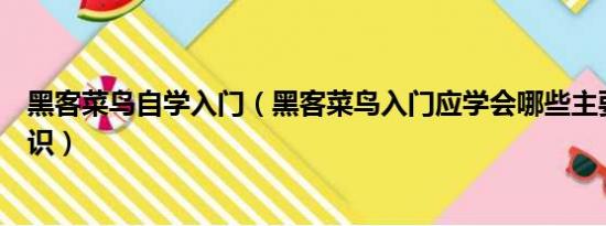 黑客菜鸟自学入门（黑客菜鸟入门应学会哪些主要的电脑知识）