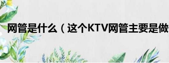 网管是什么（这个KTV网管主要是做什么）