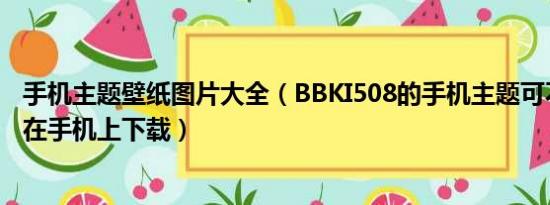 手机主题壁纸图片大全（BBKI508的手机主题可不可以直接在手机上下载）