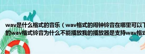 wav是什么格式的音乐（wav格式的闹钟铃音在哪里可以下载还有下载的wav格式铃音为什么不能播放我的播放器是支持wav格式播...）