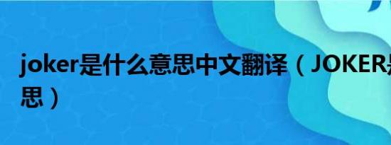 joker是什么意思中文翻译（JOKER是什么意思）