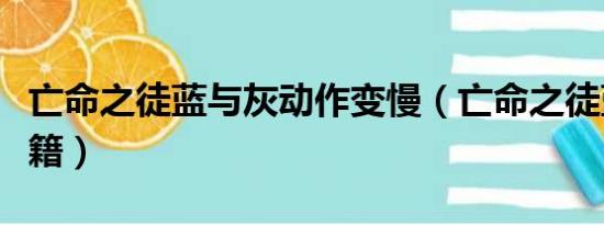 亡命之徒蓝与灰动作变慢（亡命之徒蓝与灰秘籍）