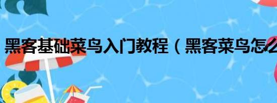 黑客基础菜鸟入门教程（黑客菜鸟怎么入门）