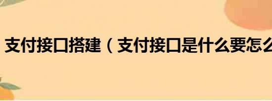 支付接口搭建（支付接口是什么要怎么安装）