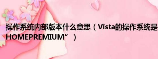 操作系统内部版本什么意思（Vista的操作系统是什么意思“HOMEPREMIUM”）