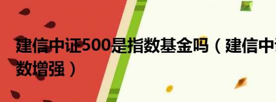 建信中证500是指数基金吗（建信中证500指数增强）