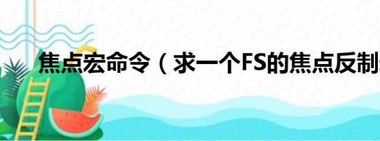 焦点宏命令（求一个FS的焦点反制宏）