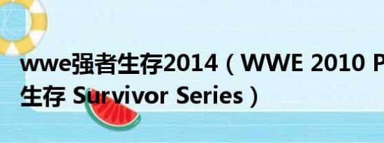 wwe强者生存2014（WWE 2010 PPV 强者生存 Survivor Series）