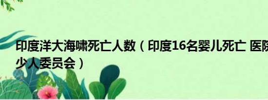 印度洋大海啸死亡人数（印度16名婴儿死亡 医院成立了多少人委员会）