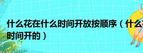 什么花在什么时间开放按顺序（什么花在什么时间开的）