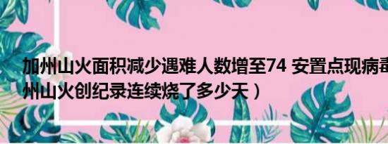 加州山火面积减少遇难人数增至74 安置点现病毒感染（加州山火创纪录连续烧了多少天）