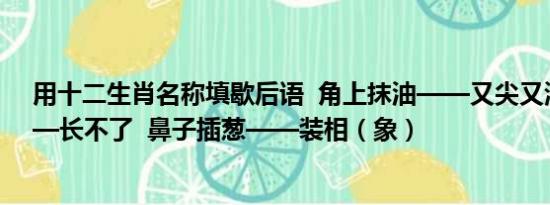 用十二生肖名称填歇后语  角上抹油——又尖又滑  尾巴——长不了  鼻子插葱——装相（象）