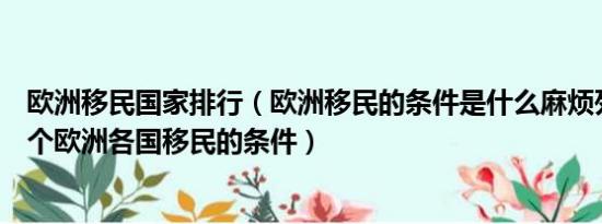 欧洲移民国家排行（欧洲移民的条件是什么麻烦列举说明几个欧洲各国移民的条件）