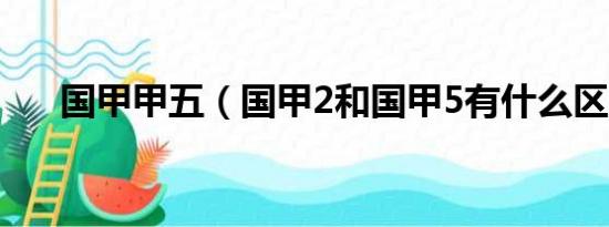 国甲甲五（国甲2和国甲5有什么区别）