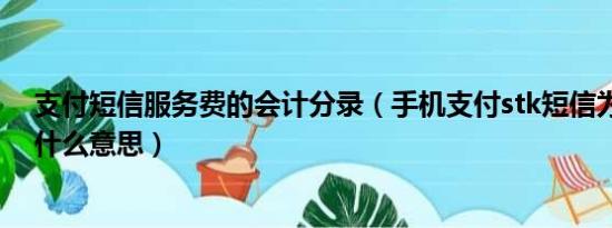 支付短信服务费的会计分录（手机支付stk短信为本机充值什么意思）