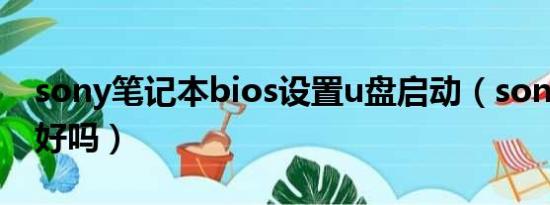 sony笔记本bios设置u盘启动（sony笔记本好吗）