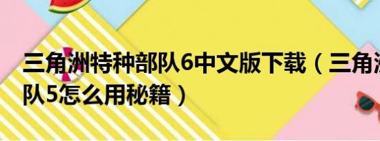 三角洲特种部队6中文版下载（三角洲特种部队5怎么用秘籍）