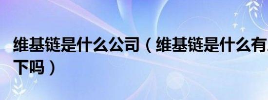 维基链是什么公司（维基链是什么有人来介绍下吗）