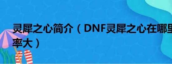 灵犀之心简介（DNF灵犀之心在哪里爆的几率大）