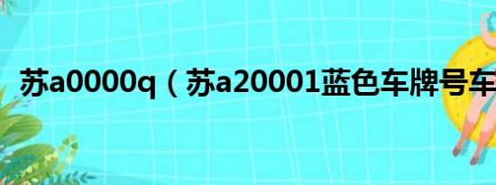 苏a0000q（苏a20001蓝色车牌号车是谁）