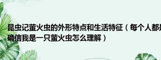 昆虫记萤火虫的外形特点和生活特征（每个人都是昆虫但我确信我是一只萤火虫怎么理解）