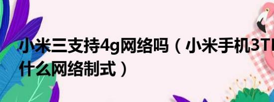 小米三支持4g网络吗（小米手机3TD版支持什么网络制式）