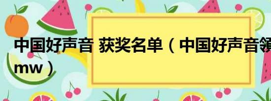 中国好声音 获奖名单（中国好声音領獎活動！mw）