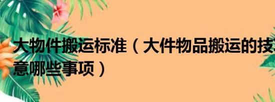 大物件搬运标准（大件物品搬运的技巧需要注意哪些事项）