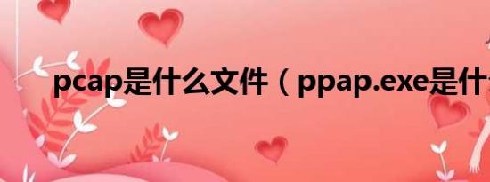 pcap是什么文件（ppap.exe是什么）