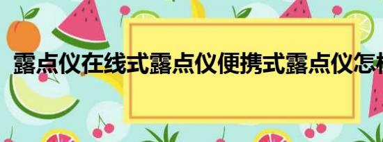 露点仪在线式露点仪便携式露点仪怎样选择