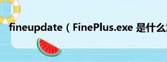 fineupdate（FinePlus.exe 是什么意思）