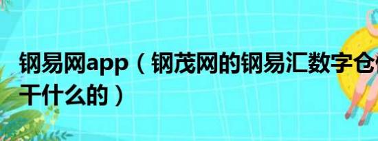 钢易网app（钢茂网的钢易汇数字仓储系统是干什么的）