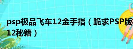 psp极品飞车12金手指（跪求PSP版极品飞车12秘籍）