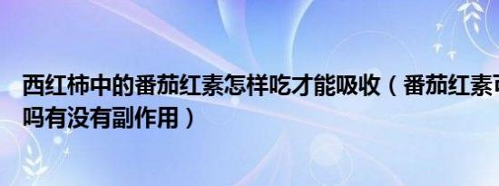 西红柿中的番茄红素怎样吃才能吸收（番茄红素可以长期吃吗有没有副作用）