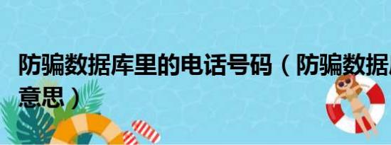 防骗数据库里的电话号码（防骗数据库是什么意思）